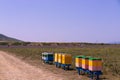 Gabala. Azerbaijan. 06.19.2021. Bee hives in the field