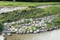 Gabion on the bank of the river