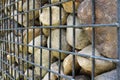 Gabion retaining wall Royalty Free Stock Photo