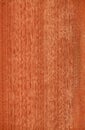 Gabon (wood texture)