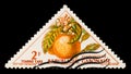 Gabonese Republic postage stamp shows Grapefruit, Citrus paradisi, circa 1962