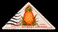 Gabonese Republic postage stamp shows Pineapple Ananas sativus, circa 1962