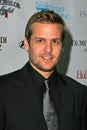 Gabriel Macht Royalty Free Stock Photo