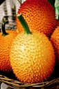 Gac Fruit. baby jackfruit spiny bitter gourd