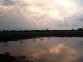 In gaden about Isan Region. This area farmer use planting aroud. Royalty Free Stock Photo