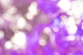 Gadient purple Abstract bokeh lights backgrouns textures Royalty Free Stock Photo