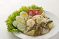 Gado-gado, traditional indonesian salad Royalty Free Stock Photo