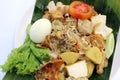 Gado-gado, Indonesian traditional salad dish Royalty Free Stock Photo