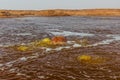 Gaet'ale Pond in Danakil depression, Ethiopia. Hypersaline lake with bubbling ga Royalty Free Stock Photo