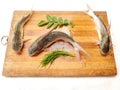 Gafftopsail Cat Fish Fish decorated with herbs and vegetables .Selective Focus Royalty Free Stock Photo