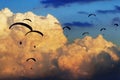 Gaggle of paragliders fly with giant clouds on the background