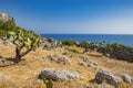 The beautiful panorama on the blue sea, from the rocky cliff of Salento.