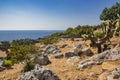 The beautiful panorama on the blue sea, from the rocky cliff of Salento.