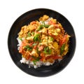 Gai Pad Pongali with chicken, eggs, spicy, yellow thai curry paste on rice.