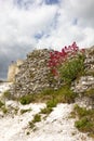 Gaillard Castle ruins Royalty Free Stock Photo