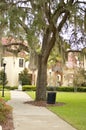 Gainesville, Florida park with oak and trash can