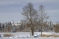 Winter in Isarwinkel near Bad Toelz