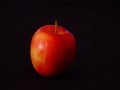 Gala Apple Royalty Free Stock Photo