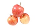 gala apple Royalty Free Stock Photo