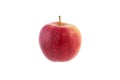 Gala apple on white background Royalty Free Stock Photo