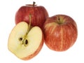 Gala Apples Royalty Free Stock Photo