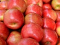 Gala apples