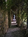 Gala - DalÃÂ¬ Castle in Pubol, classic statue and nature