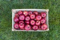 Gala red apples in a wooden farmers market crate, Serbia Royalty Free Stock Photo