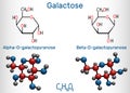 Galactose, alpha-D-galactopyranose, beta-D-galactopyranose, milk sugar molecule. Cyclic form. Structural chemical formula and