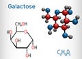 Galactose, alpha-D-galactopyranose, milk sugar molecule. Cyclic form Royalty Free Stock Photo