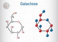 Galactose, alpha-D-galactopyranose, milk sugar molecule. Cyclic form. Structural chemical formula and molecule model. Sheet of Royalty Free Stock Photo