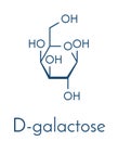 Galactose sugar molecule. Present in milk and dairy products. Skeletal formula.