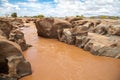 Galana river in Kenya, on safari Royalty Free Stock Photo