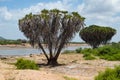 Galana River, Tsavo East Royalty Free Stock Photo