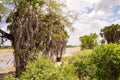 Galana River, Tsavo East National Park Royalty Free Stock Photo