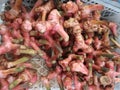 Galangal as herbs for local identic food