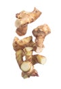 Galangal fly in mid air, fresh vegetable spice galangal falling. Organic fresh herbal galangal root head cut chop slice, close up