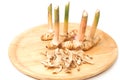 Galangal root ,fresh and dried herb Royalty Free Stock Photo