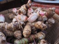 Galangal spice