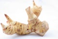 galangal whole Royalty Free Stock Photo