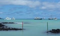 Galapagos beach in Puerto Ayora Royalty Free Stock Photo