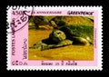 Galapagos Green Turtle (Chelonia agassizii), 25th Anniversary of