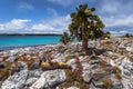 Galapagos Islands - August 24, 2017: Sealions in Plaza Sur island, Galapagos Islands, Ecuador Royalty Free Stock Photo