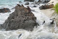 Galapagos Marine Iguanas resting on rocks Royalty Free Stock Photo