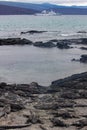 Galapagos Marine Iguanas on Shore with Cruise Ship in Background