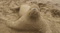 A Galapagos Sea Lion made out of sand.