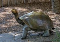 `Galapagos Tortise`, a bronze sculpture by Tom Tischler at the Dallas Zoo in Texas.