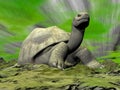 Galapagos tortoise looking at you - 3D render