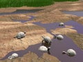 Galapagos tortoises relaxing - 3D render