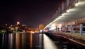 Galata bridge and Galata tower Royalty Free Stock Photo